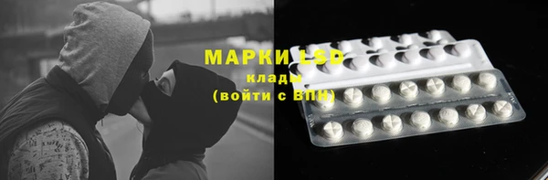 PSILOCYBIN Россошь