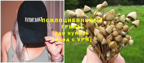 spice Михайловка