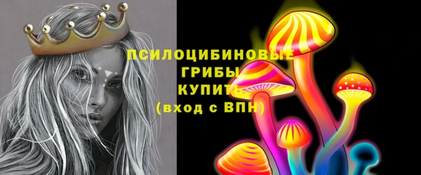 ГАЛЛЮЦИНОГЕННЫЕ ГРИБЫ Ростов